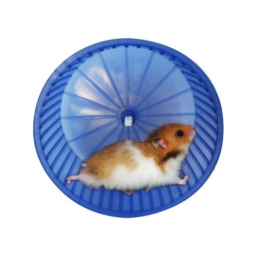 Hamster Çarkı Büyük