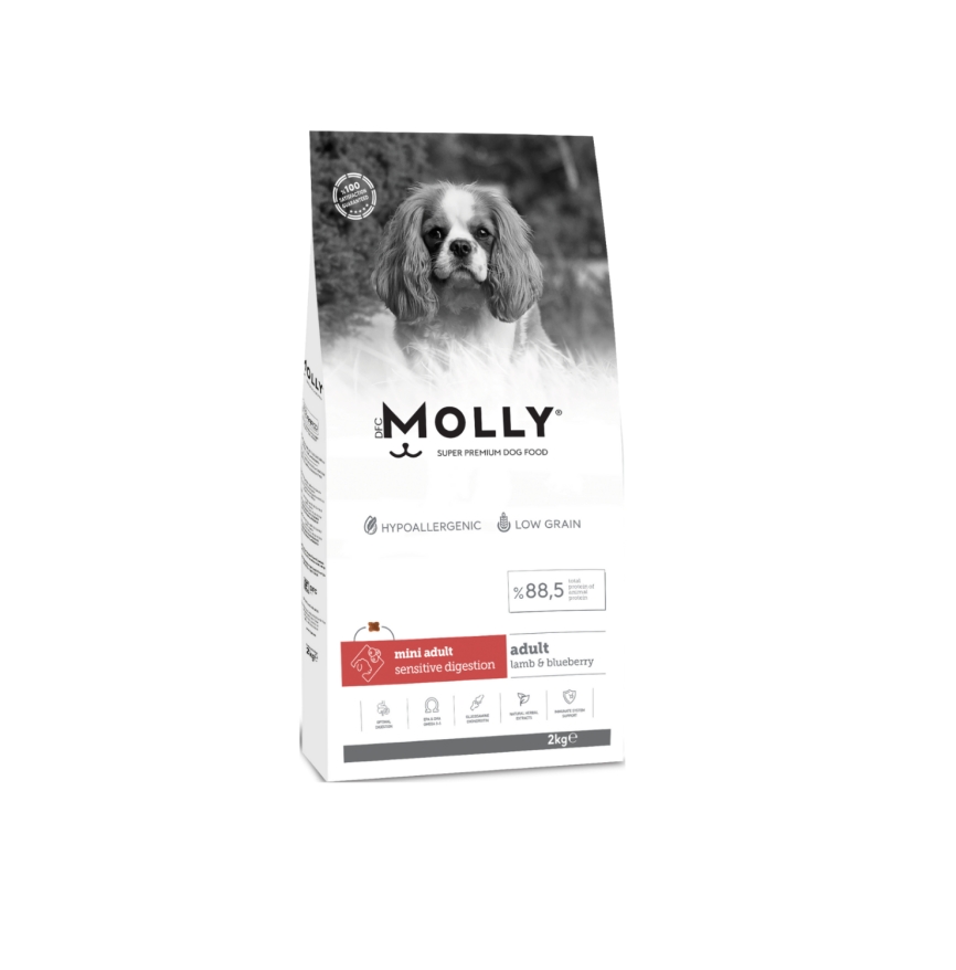 Molly Mini Adult Kuzu Etli & Yaban Mersinli Küçük Irk Yetişkin Köpek Maması 2 Kg